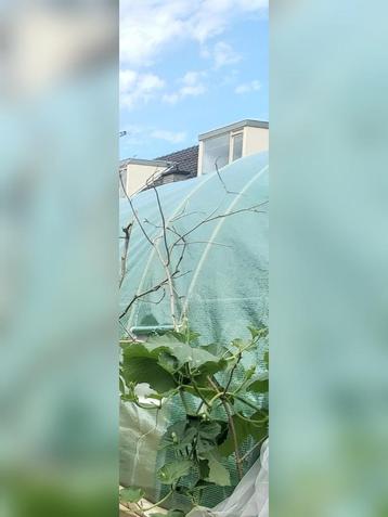 Bio grond beschikbaar voor biedingen