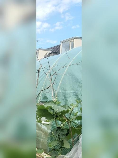 Bio grond, Tuin en Terras, Aarde en Mest, Tuinaarde, Ophalen
