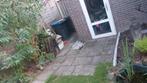 Gratis stoeptegels 30x30 en 40x60, Ophalen, Gebruikt, 10 m² of meer, Beton