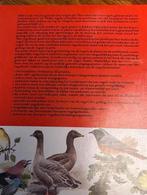 Het Vogelboek - Philip Burton & Peter Hayman, Ophalen of Verzenden, Zo goed als nieuw, Vogels
