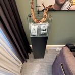 Aquarium cube 40l met houten ornament junai, Ophalen, Zo goed als nieuw, Leeg aquarium