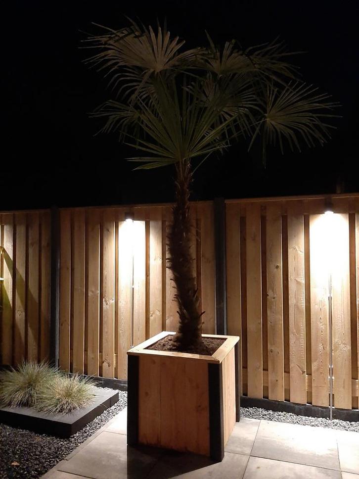 Te koop nieuwe grote Douglas Boombak Bloembak op Wielen., Tuin en Terras, Bloempotten, Nieuw, Ophalen