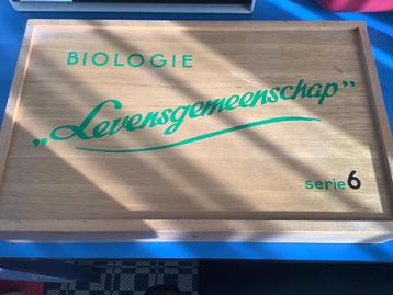 Biologie stempels beschikbaar voor biedingen