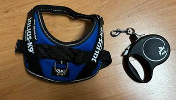 julius k9 blauw maat mini-mini met flexi rolkoort beschikbaar voor biedingen