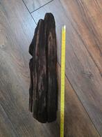 Kienhout aquarium, Ophalen, Zo goed als nieuw, Plant(en), Steen of Hout