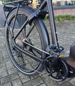 Koga Pace S10 – Nieuw – Framemaat 52 – Black Friday Deal!, Niet ingevuld, Nieuw, 51 tot 55 cm, Niet ingevuld