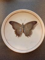 Wandbordje Nachtvlinder - Georgius van Os, Ophalen