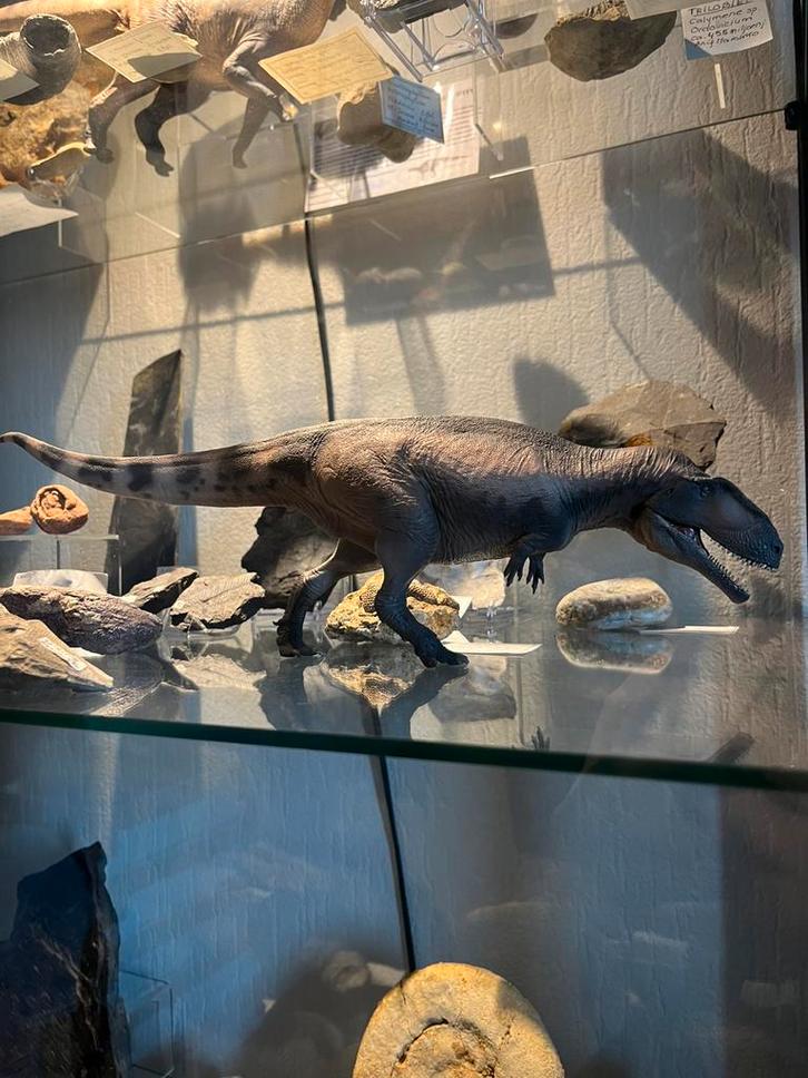 PNSO Mapusaurus 1:35 model, Verzamelen, Poppetjes en Figuurtjes, Zo goed als nieuw, Ophalen of Verzenden