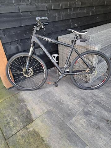 MTB