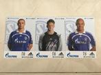 Set spelerskaarten Schalke 04 - 2006/2007 ( handsigned ), Nieuw, Spelerskaart, Ophalen of Verzenden, Buitenlandse clubs