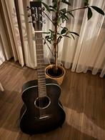 Tanglewood Blackbird Western Gitaar, Ophalen, Zo goed als nieuw, Western- of Steelstringgitaar, Met (piezo-)element