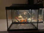 Aquarium (beginner) 35-27-21cm, Dieren en Toebehoren, Vissen | Aquaria en Toebehoren, Ophalen of Verzenden, Gebruikt, Leeg aquarium