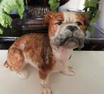 Hondenbeeldje porcelein bulldog, Ophalen of Verzenden