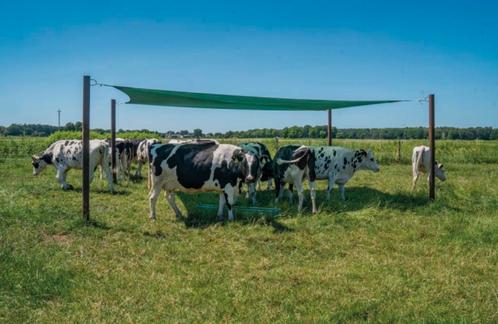 Poeren en palen voor schaduwdoek, Dieren en Toebehoren, Stalling en Weidegang