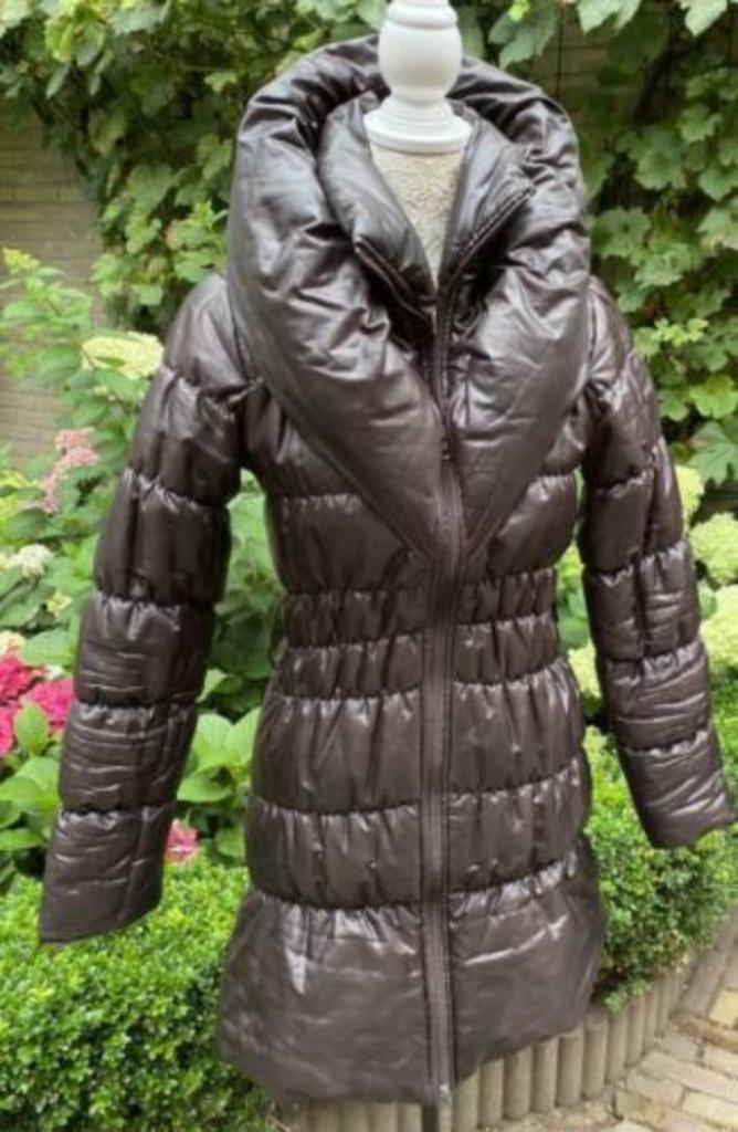 Winter jas maat 36/38, Kleding | Dames, Jassen | Winter, Zo goed als nieuw, Maat 36 (S), Bruin, Ophalen of Verzenden