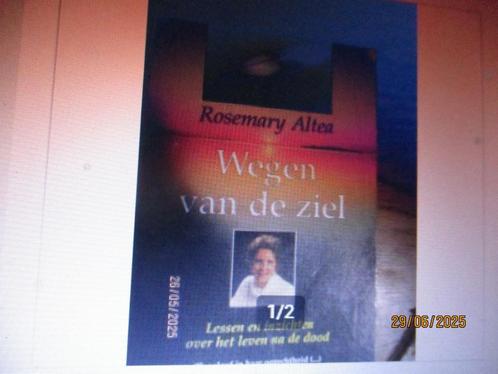 Wegen Van De Ziel leven na de dood 9789022522813, Boeken, Esoterie en Spiritualiteit, Gelezen, Achtergrond en Informatie, Ziel of Sterfelijkheid