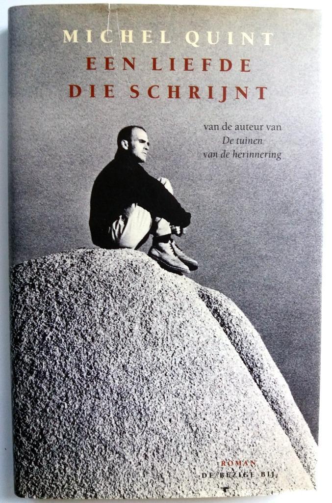 Michel Quint - Een liefde die schrijnt, Boeken, Romans, Zo goed als nieuw, Europa overig, Ophalen of Verzenden