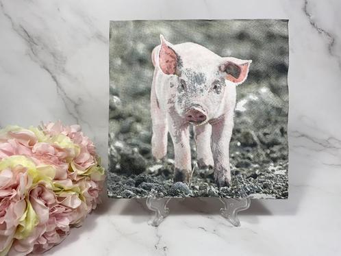 Knutsel servetten - biggetje varken - decoupage bullet  250, Hobby en Vrije tijd, Knutselen, Nieuw, Materiaal, Ophalen of Verzenden