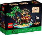 LEGO | Ray de Schipbreukeling | 40566, Nieuw, Complete set, Ophalen of Verzenden, Lego