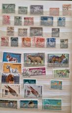 Album postzegels, Ophalen, Nederland en Buitenland