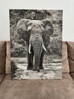 Canvas schilderij olifant 60 x 80, Huis en Inrichting, Woonaccessoires | Schilderijen, Tekeningen en Foto's, Ophalen, Zo goed als nieuw