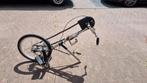 Roam Hand Bike goede staat, Fietsen en Brommers, Ophalen, Zo goed als nieuw, Hondenkar