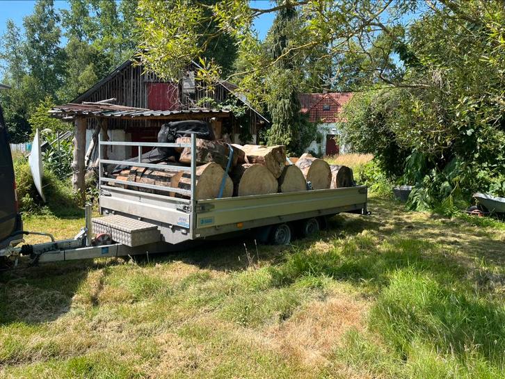 Haardhout om zelf te kloven, Eik Beuk Es, Tuin en Terras, Haardhout, Blokken, Overige houtsoorten, Minder dan 3 m³, Ophalen of Verzenden