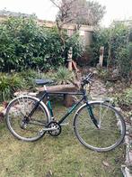 Giant expedition (randonneur, retro, vakantiefiets), Ophalen, Gebruikt, Giant, 57 tot 61 cm