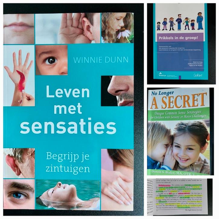 Prikkelverwerking Sensorische integratie, Boeken, Advies, Hulp en Training, Gelezen, Ophalen of Verzenden