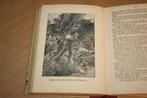 Een knapenkolonie. Jules Verne. ca. 1940., Boeken, Avontuur en Actie, Ophalen of Verzenden, Gelezen