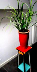 Plantentafeltje, Ophalen, Minder dan 55 cm, Gebruikt, Vierkant