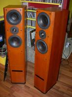 High-End: Usher V604 / V-604 zuilspeakers. 40kg per stuk!, Ophalen of Verzenden, 120 watt of meer, Front, Rear of Stereo speakers