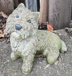 Zware tuinbeeld hond, tuinbeeld varken, tuinbeeld jongen, Tuin en Terras, Tuinbeelden, Ophalen, Gebruikt, Nvt, Beton