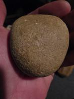 Fossiel prehistoric artefact maalsteen dinosauris fossiel, Ophalen of Verzenden, Engeland, Embleem of Badge