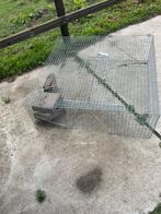 Duiven vangkooi ( werkt echt ), Meerdere dieren