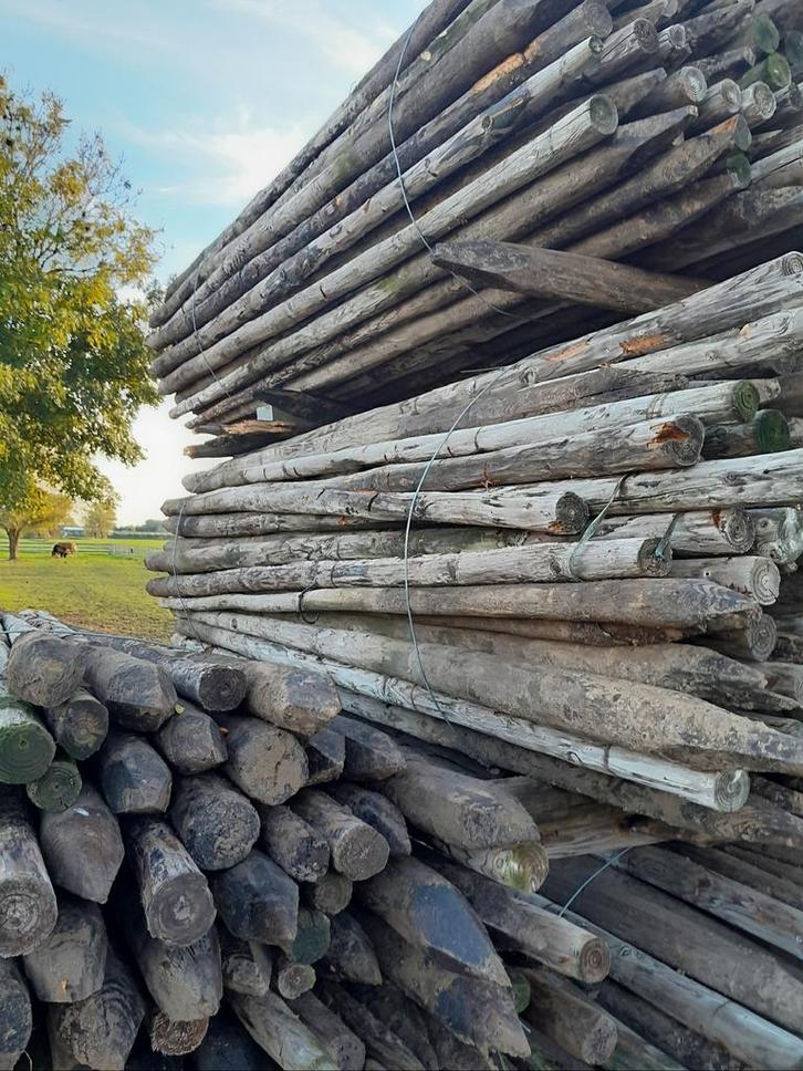 Gecreosoteerde palen, Tuin en Terras, Palen, Balken en Planken, Zo goed als nieuw, Palen, 250 cm of meer, Ophalen