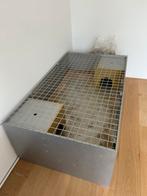 Prachtige ruim caviahok, Dieren en Toebehoren, Rat, Hok, Ophalen, Minder dan 60 cm