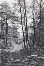 Vierhouten Natuurschoon Oude Gelopen Ansichtkaart ( P805, Verzamelen, Ansichtkaarten | Nederland, Ophalen of Verzenden, 1960 tot 1980
