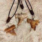 Fossiele haaientand ketting, Sieraden, Tassen en Uiterlijk, Ophalen of Verzenden, Nieuw, Overige materialen