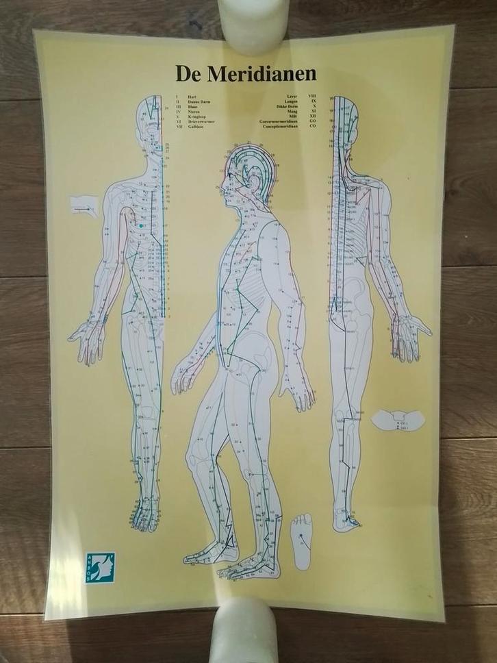 Poster De Meridianen, Boeken, Gezondheid, Dieet en Voeding, Zo goed als nieuw, Kruiden en Alternatief, Ophalen of Verzenden