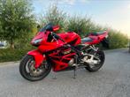 Honda CBR 600 rr.     2006, 4 cilinders, Motorrijbewijs A, Bedrijf, Super Sport