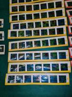 fortuna slides 23 stuks voor toy projector jaren 60 vintage, Ophalen of Verzenden