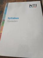 Syllabus opvoeden, Boeken, Studieboeken en Cursussen, Nti, Zo goed als nieuw, Beta, HBO