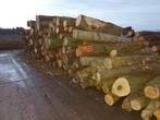Beschikbaar: vrachten rondhout, loofhout, hardhout, 6 m³ of meer, Ophalen of Verzenden