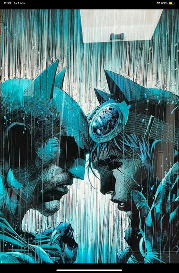 Batman & Batgirl Plexiglas Plaat beschikbaar voor biedingen