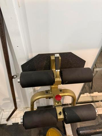 Sissy squat beschikbaar voor biedingen