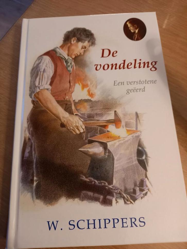 Willem Schippers - De vondeling, Boeken, Historische romans, Zo goed als nieuw, Ophalen of Verzenden