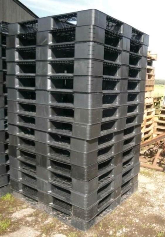 Kunststof Pallets plastic  Duurzaam  80x120 en 100x120, Doe-het-zelf en Verbouw, Kratten en Dozen, Gebruikt, Overige typen, 100 cm of meer