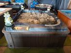 ‼️ Amerikaanse spa‼️AANBIEDING NU 3750 euro‼️VANDAAG BEZORGD, Ophalen of Verzenden, Gebruikt, Filter