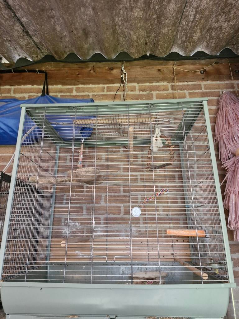 Mooie vogelkooi te koop!, Dieren en Toebehoren, Vogels | Hokken en Kooien, Ophalen, Zo goed als nieuw, Metaal, Vogelkooi